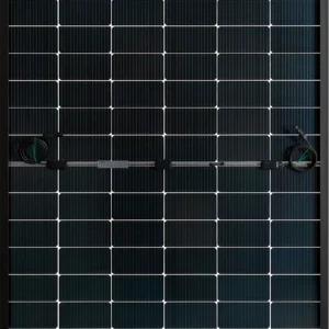 Bauer GLASS-GLASS PERFORMANCE 455W